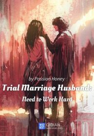 Trial-Marriage-Husband-Need-to-Work-Hard