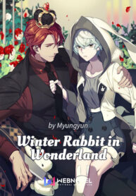 winter rabbit in wonderland